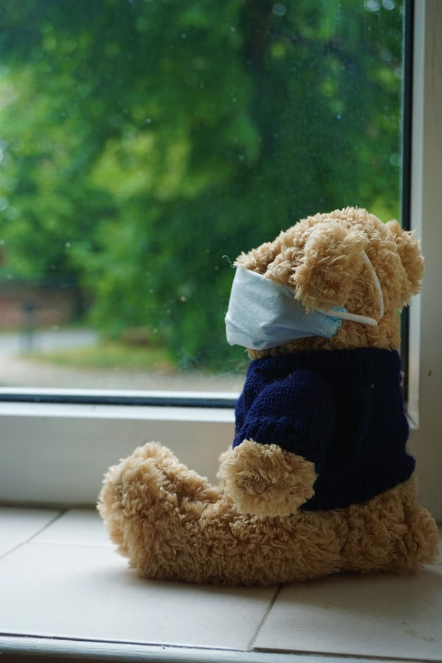 oso de peluche con cubrebocas, en la ventana viendo hacia la calle.